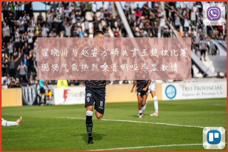 翟晓川与赵睿方硕共赏王楚钦比赛现场气氛热烈嗓音嘶哑尽显激情