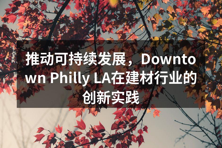 推动可持续发展，Downtown Philly LA在建材行业的创新实践